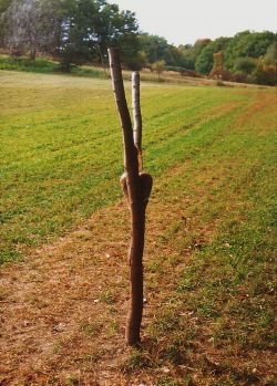 Bei der „Nachtwanderung“ werden in der Landschaft objekthafte „Zeichen“ gesetzt, z.B. Feldzeichen & Erdnadeln, Masken & Stäbe oder eine Erfolgsleiter. Foto/Credit: K.U.SCH.