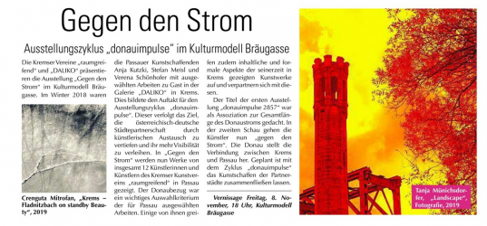Artikel in "Am Sonntag", Passau, Ausgabe 03.11.2019, S.8