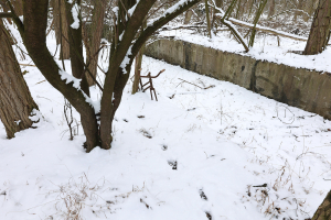 48° 26‘ 34.164‘‘ N 15° 37‘ 45.624‘‘ E / 357,6 m. Nichts zu sehen? Stalag XVII B Krems-Gneixendorf - eine topografische Vermessung